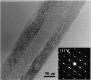 Synthesis of Crystalline Silicon Tubular Nanostructures with ZnS Nanowires as Removable Templates