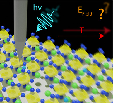 Nanoscale properties of lead halide perovskites by scanning tunneling microscopy