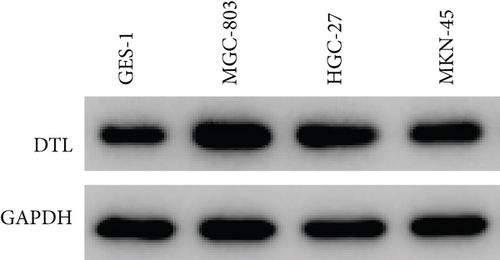 Details are in the caption following the image