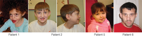 Details are in the caption following the image Details are in the caption following the image