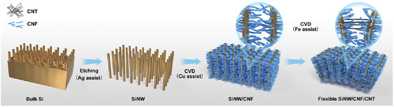 Silicon Nanowire Array Weaved by Carbon Chains for Stretchable Lithium-Ion Battery Anode