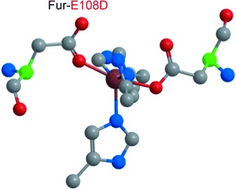 Single Glutamate to Aspartate Mutation Makes Ferric Uptake Regulator (Fur) as Sensitive to H2O2 as Peroxide Resistance Regulator (PerR)