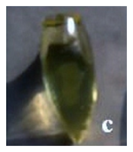 Details are in the caption following the image