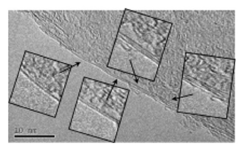 Details are in the caption following the image