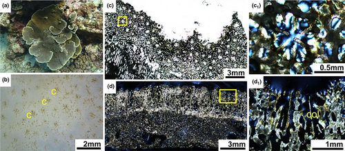 Details are in the caption following the image Details are in the caption following the image
