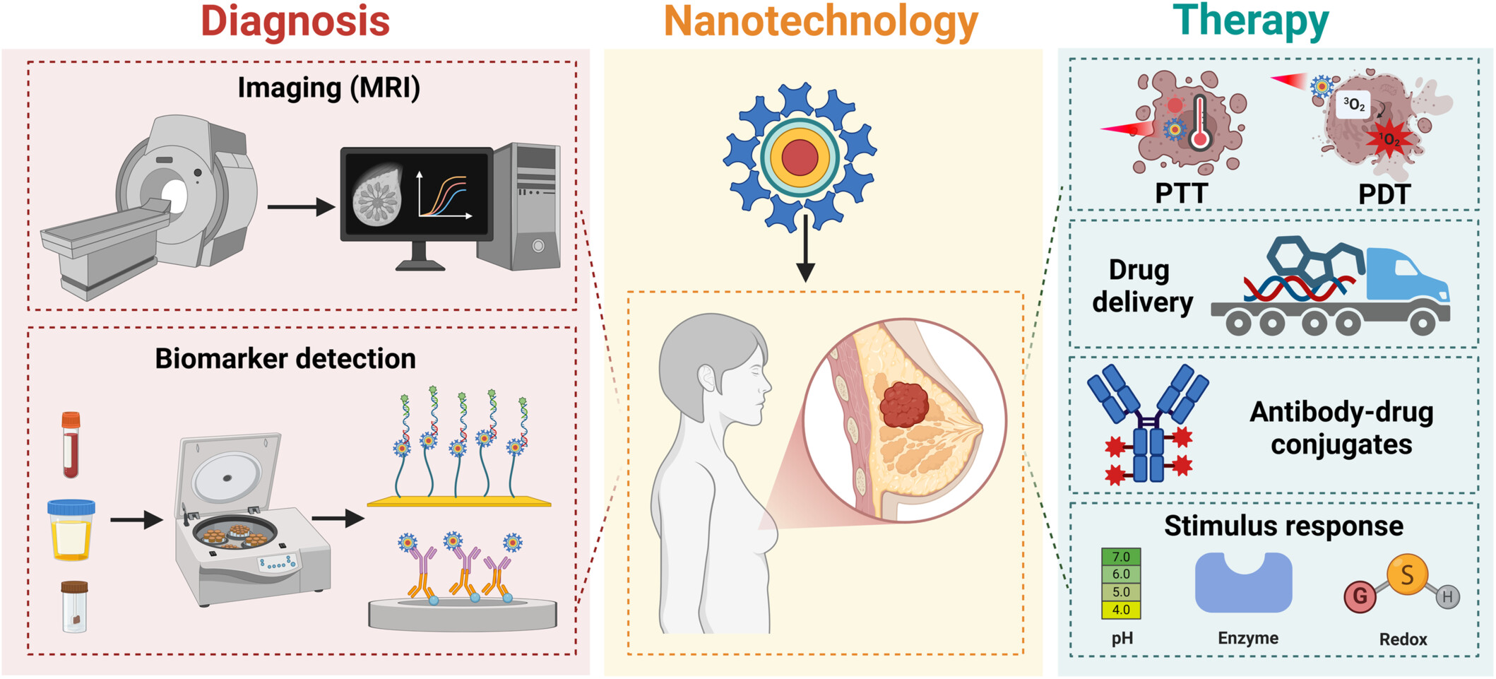 Beyond Conventional Approaches: The Revolutionary Role of Nanoparticles in Breast Cancer