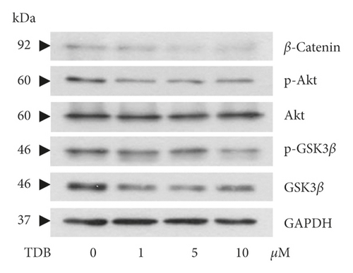 Details are in the caption following the image