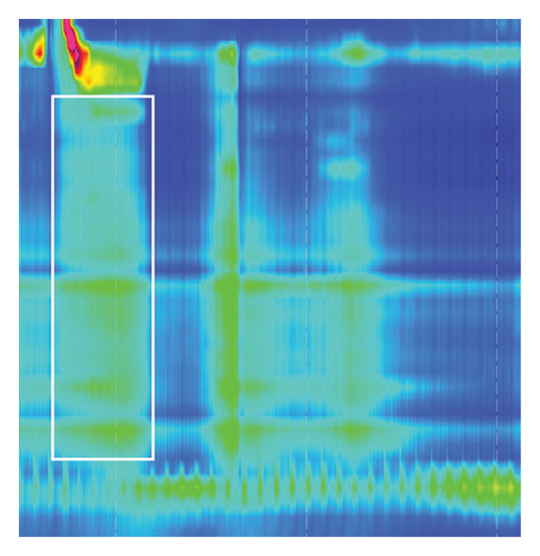 Details are in the caption following the image Details are in the caption following the image