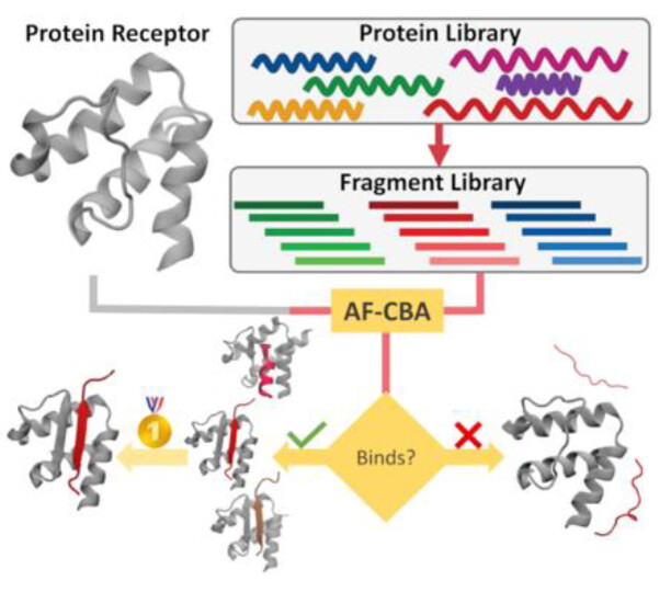 A Computational Pipeline for Accurate Prioritization of Protein-Protein Binding Candidates in High-Throughput Protein Libraries