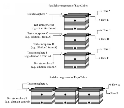 Details are in the caption following the image
