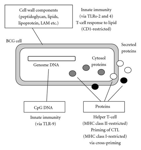 Details are in the caption following the image