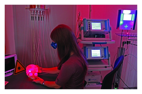 Details are in the caption following the image Details are in the caption following the image
