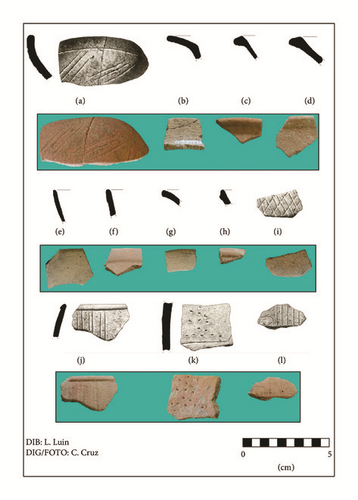 Details are in the caption following the image Details are in the caption following the image