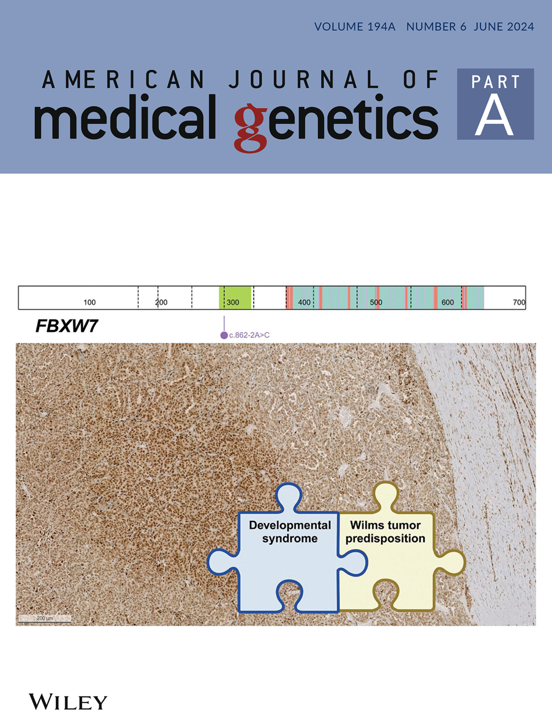 Cover Image, Volume 194A, Number 6, June 2024