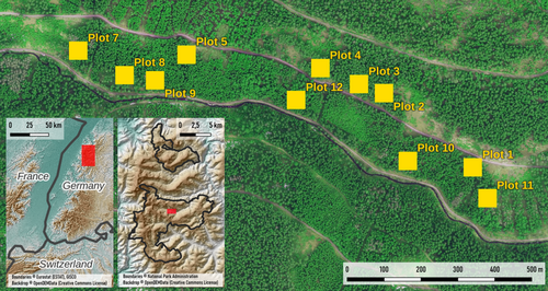 Details are in the caption following the image Details are in the caption following the image