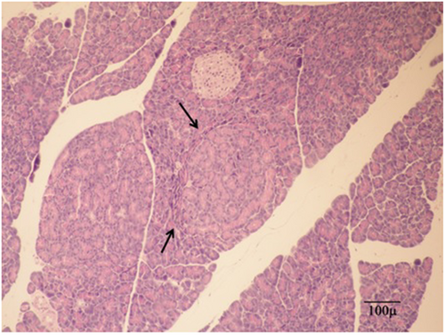 Details are in the caption following the image