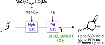 Multisite Organic–Inorganic Hybrid Catalysts for the Direct Sustainable Synthesis of GABAergic Drugs
