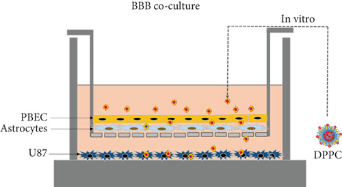 Details are in the caption following the image Details are in the caption following the image