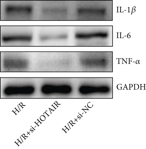 Details are in the caption following the image