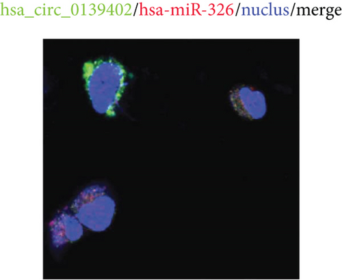Details are in the caption following the image