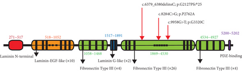 Details are in the caption following the image Details are in the caption following the image