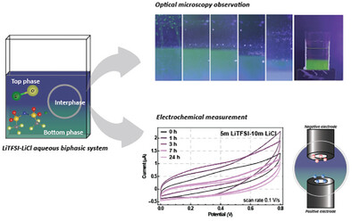 Unraveling the Nature of Interfacial Behavior in the LiTFSI-LiCl Aqueous Biphasic System