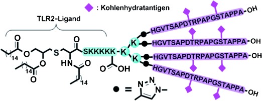 Multivalente synthetische Glycopeptid-Lipopeptid-Antitumorvakzine: Auswirkung des Cluster-Effekts auf das Abtöten von Tumorzellen