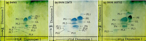 Details are in the caption following the image
