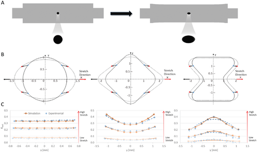 Details are in the caption following the image Details are in the caption following the image