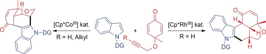 Catalyst-Controlled Regiodivergent Alkyne Insertion in the Context of C−H Activation and Diels–Alder Reactions: Synthesis of Fused and Bridged Cycles