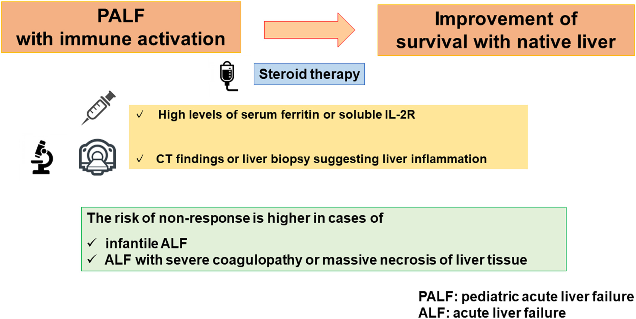 Efficacy of steroid therapy for improving native liver survival after pediatric acute liver failure with immune activation