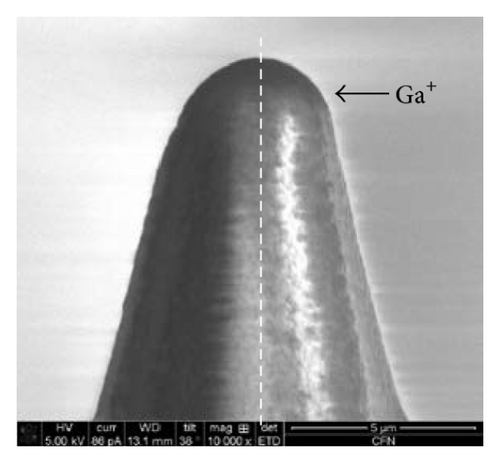 Details are in the caption following the image