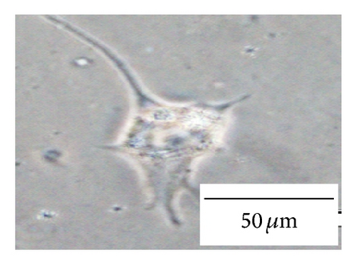 Details are in the caption following the image