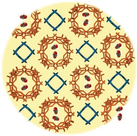 Selective CO2 Adsorption in a Supramolecular Organic Framework