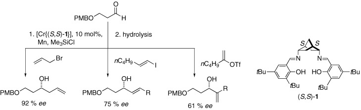 A Highly Enantioselective Catalyst for the Asymmetric Nozaki–Hiyama–Kishi Reaction of Allylic and Vinylic Halides