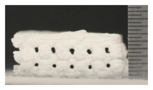 Details are in the caption following the image