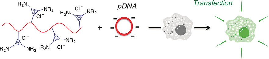 Clickable Poly(ionic liquids): A Materials Platform for Transfection