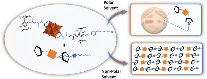 Host-Guest Assemblies of Polyoxovanadate Clusters as Supramolecular Catalysts