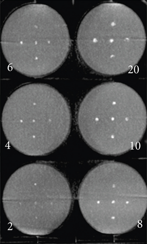 Details are in the caption following the image Details are in the caption following the image