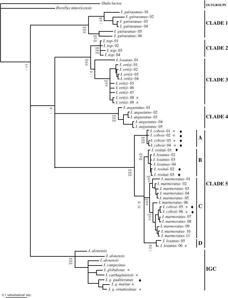 Details are in the caption following the image Details are in the caption following the image