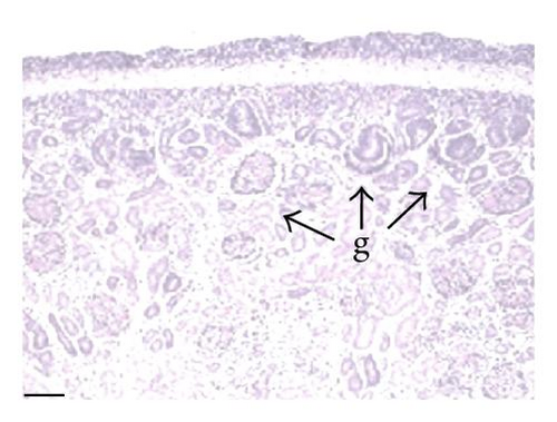 Details are in the caption following the image