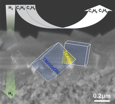 Dual-templating surface gel into thin SSZ-13 zeolite membrane for fast selective hydrogen separation