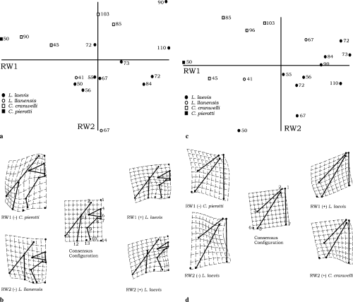 Details are in the caption following the image Details are in the caption following the image