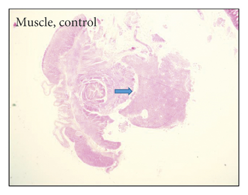 Details are in the caption following the image