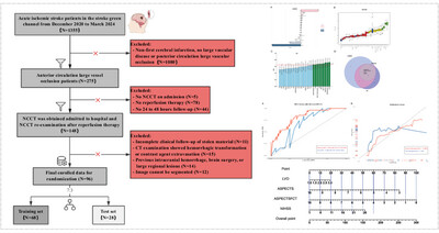 Risk Factors and Prognostic Models in Acute Large Vessel Occlusion Stroke: Insights From ASPECTS-Net Water Uptake