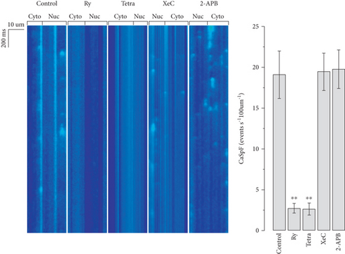 Details are in the caption following the image Details are in the caption following the image