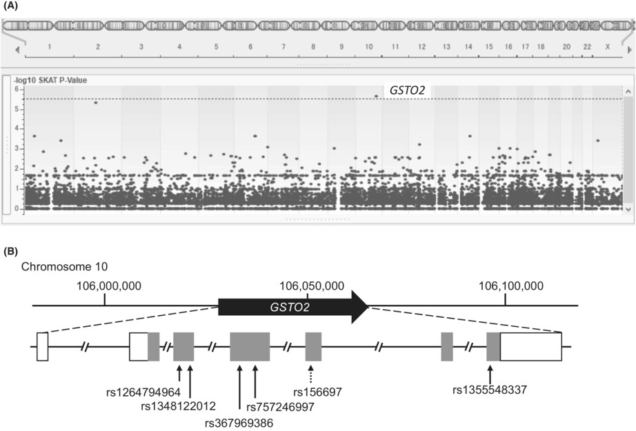Exome-based genome-wide screening of rare variants associated with the risk of polycystic ovary syndrome