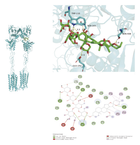 Details are in the caption following the image Details are in the caption following the image