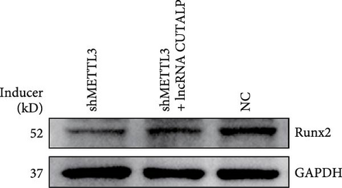 Details are in the caption following the image