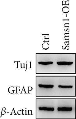 Details are in the caption following the image